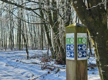 Tocht Stappen Sankt Vith - Rodt - BierMuseum ❄️ - Photo