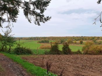 Randonnée Marche Beauraing - Balade de Pondrôme à Revogne - Photo