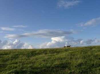 Tour Zu Fuß Inishowen Municipal District - Inishowen Head Walk - Photo