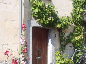 Tour Wandern Riemst - kanne . château st pieter . retour via montagne St Pierre  - Photo