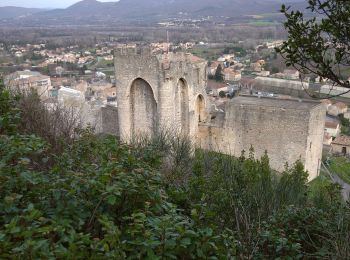 Randonnée Marche Cruas - 07 cruas st Vincent de barres - Photo