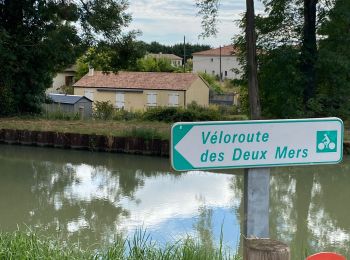 Randonnée Vélo électrique Montech - Canal de Montech 2 - Photo