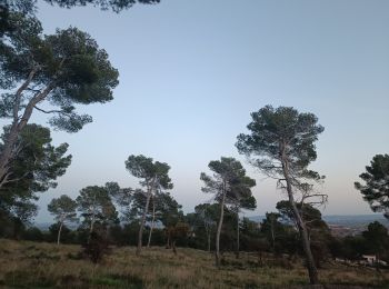 Percorso Marcia Lézignan-Corbières - La Pinède Lézignan Corbières  - Photo