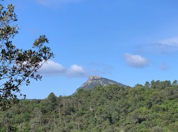 Tocht Stappen Villeneuvette - Autour de la Portanelle - Photo