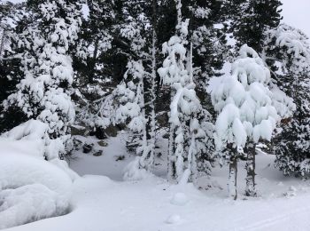 Randonnée Raquettes à neige Font-Romeu-Odeillo-Via - 20210107 raquettes à Pyrenee 2000 - Photo