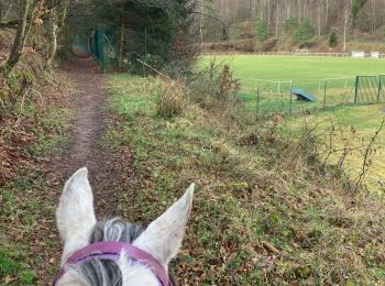 Tocht Paardrijden Saint-Quirin - Kiboki avec acpl mars 2025 - Photo