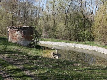 Percorso A piedi Nadějkov - Naučná stezka Nadějkovsko - Photo