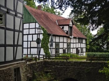 Trail On foot Preußisch Oldendorf - Rundweg A7 Holzhausen-Heddinghausen - Photo