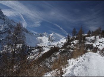 Tour Zu Fuß Vermiglio - IT-O268 - Photo