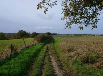 Tocht Stappen Artannes-sur-Indre - Artannes-sur-Indre - PRs Lavandières et Vallée du Lys - 25.4km 310m 5h45 (25mn) - 2023 11 11 - Photo