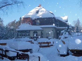 Tour Zu Fuß Wernigerode - DE-grünes Dreieck - Photo