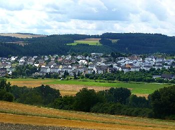 Trail On foot Rhaunen - Traumschleife Stumm-Orgel-Weg - Photo