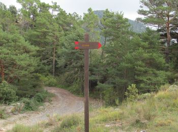 Tocht Te voet Dolceacqua - La Colla - Colla Sgora - Photo