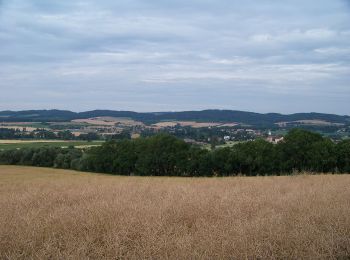 Trail On foot Sedlec-Prčice - NS Od Vítkovské růže k zázračnému prameni - Photo