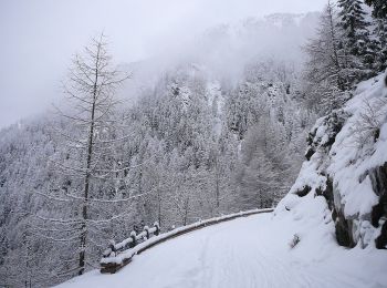 Randonnée A pied Mühlbach - Rio di Pusteria - 15 - Photo