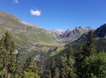 Excursión Senderismo Sainte-Foy-Tarentaise - Aller retour au refuge de l'Archeboc depuis le Planay dessous  - Photo