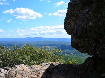 Tocht Stappen Besse-sur-Issole - Besse sur Issole - Lac - Barre et Chapelle de St Quinis - Photo