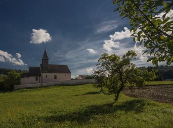 Trail On foot Sinzing - Jurasteig Schwarze-Laber-Schlaufe - Photo