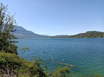 Percorso Marcia Nances - Lac d'Aiguebelette  - Photo