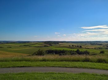 Randonnée A pied Servigny-lès-Raville - Circuit du Mont Saint-Pierre - Photo