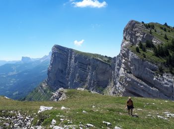 Excursión Senderismo Corrençon-en-Vercors - Les Rochers de Balme - Photo