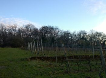 Randonnée A pied Groß-Umstadt - Parkplatzrundwanderweg Hainrich 4 : Hardberg-Weg - Photo