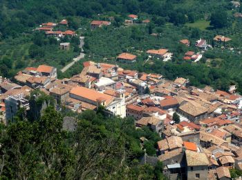 Trail On foot Morolo - Morolo-Sprone Maraoni-Sgurgola - Photo