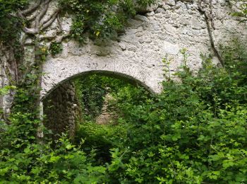 Tocht Stappen Bouvante - 26 tour Val ste marie bouvante 10 6 21 - Photo