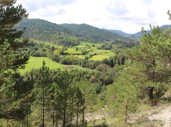 Trail On foot Campdevànol - Entre antigues parròquies de Gombrèn, Campdevànol i les Lloses - Photo