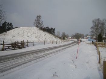 Trail On foot  - Marialeden - Photo