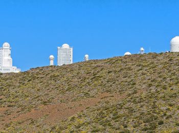 Tour Zu Fuß Fasnia - S-20 Volcán de Fasnia - Photo