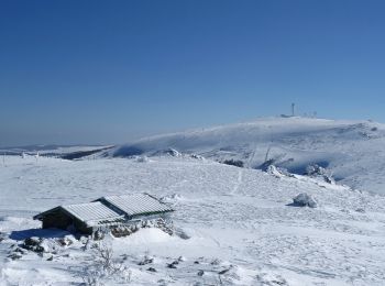 Tocht Stappen Saint-Pierre-la-Bourlhonne - Col_Beal_Vallon_Fossat - Photo