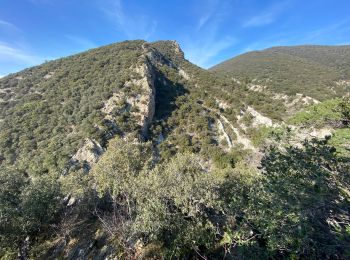 Percorso Marcia Rousset-les-Vignes - Rousset les vignes sous La Chapelle - Photo