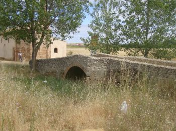 Tocht Stappen Cervatos de la Cueza - CC_Frances_CE_17_Cervatos-Cueza_Calzada-Coto_20110708 - Photo