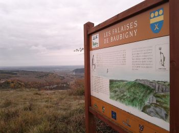 Excursión A pie La Rochepot - Sentier des Roches - Photo