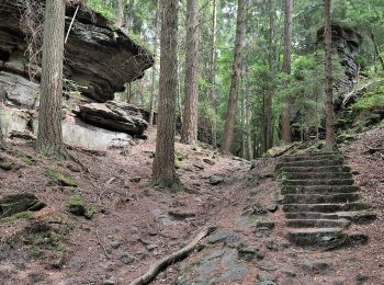 Trail On foot Beaufort - B1 Hiking Tour - Photo