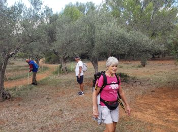 Tocht Stappen Sillans-la-Cascade - Sillans(Maurice) - Photo