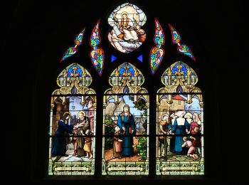 Excursión A pie Criel-sur-Mer - Les Falaises de Criel-sur-Mer - Photo