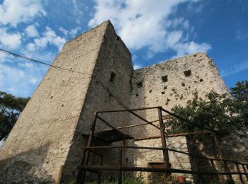 Tour Zu Fuß Otricoli - Poggio - Croce San Valentino - Photo