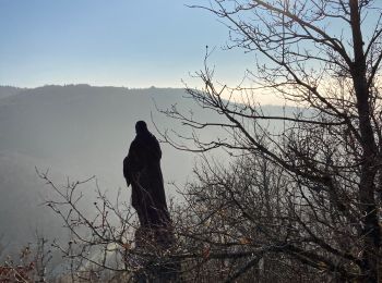 Tocht Stappen Corveissiat - Chartreuse deSélignac par Arnans  - Photo