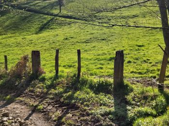 Tocht Stappen Yzeron - barrage de Thurins, Yzeron Le Ronzey, bois de Lienne, le pinay, la rontalonnière, retour par le moulin - Photo