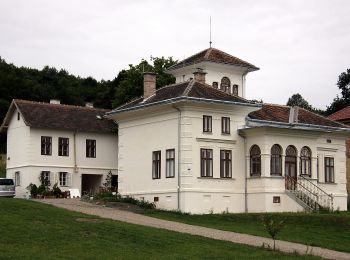 Percorso A piedi Gemeinde Katzelsdorf - Katzelsdorf (Gasthaus zur Weintraube) - Sauerbrunn mit Abstecher zur Marienquelle - Photo