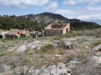 Tour Wandern Albuñuelas - Casas forestales de la huida  - Photo