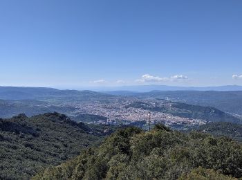 Trail On foot Nuoro - Chiesa de La Solitudine - Redentore - Photo