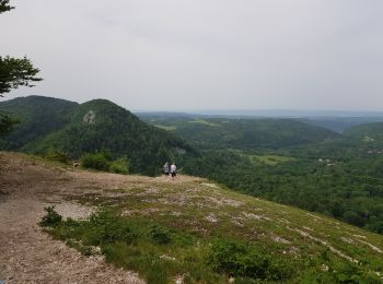 Tour Wandern Le Frasnois - Lac de Narlay - Pic de l'Aigle - Photo