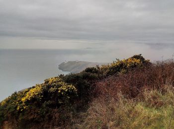 Excursión A pie Desconocido - Howth Tramline Loop - Photo