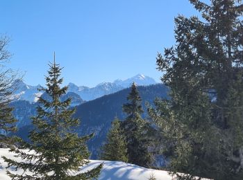 Percorso Racchette da neve Fillière - CREPON DE  MONTOULIVERT - Photo