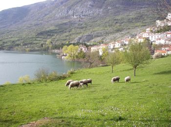 Trail On foot Barrea - Civitella Alfedena - Barrea - Photo