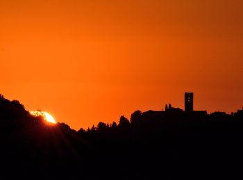 Tour Zu Fuß Buggiano - Borgo a Buggiano Pescia - Photo