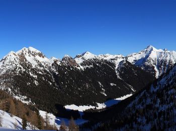 Tour Zu Fuß Palai im Fersental - IT-E340 - Photo